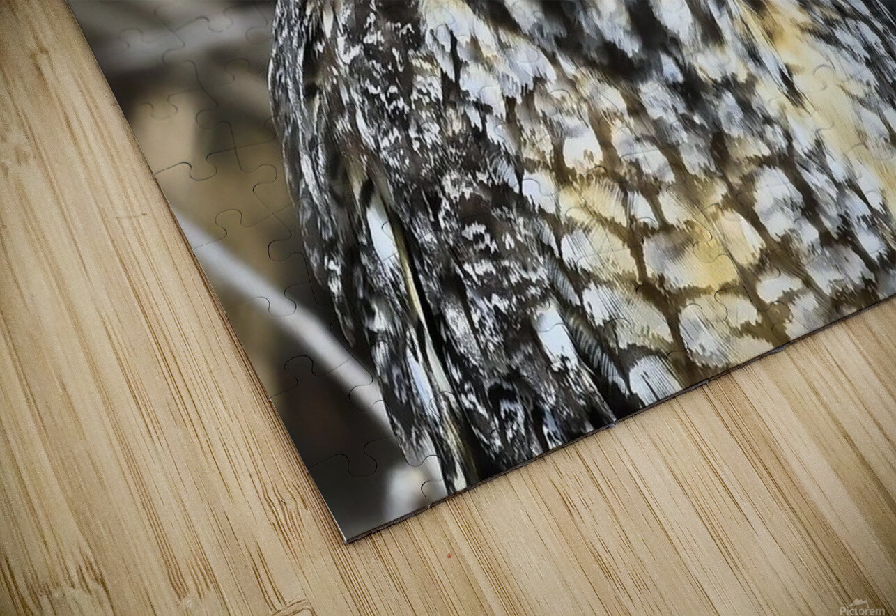 Concentration  Images by Cheryl Lynn Puzzle