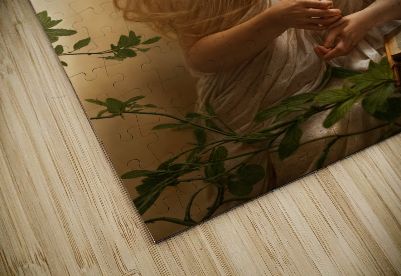  Stillness of Thought  Aniima Illussiya Puzzle