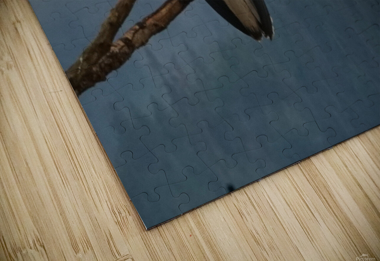 Bald Eagle Denise Thrasher Puzzle