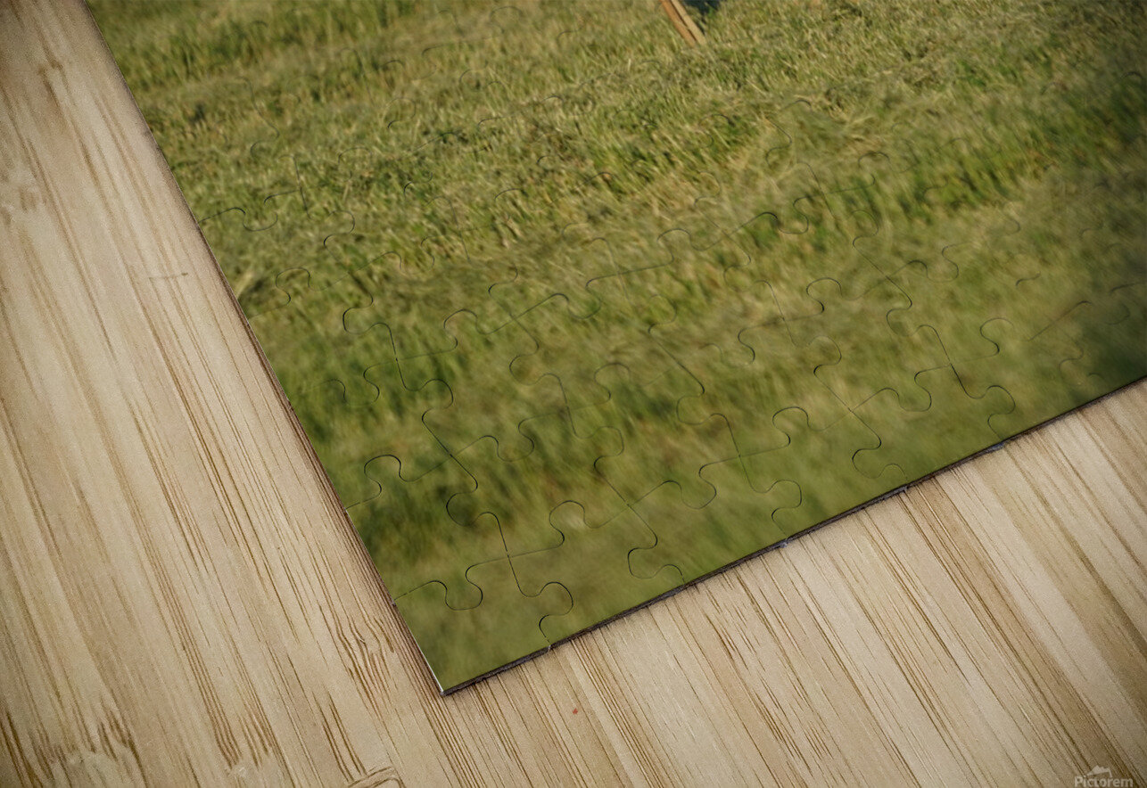 Antelope Denise Thrasher Puzzle