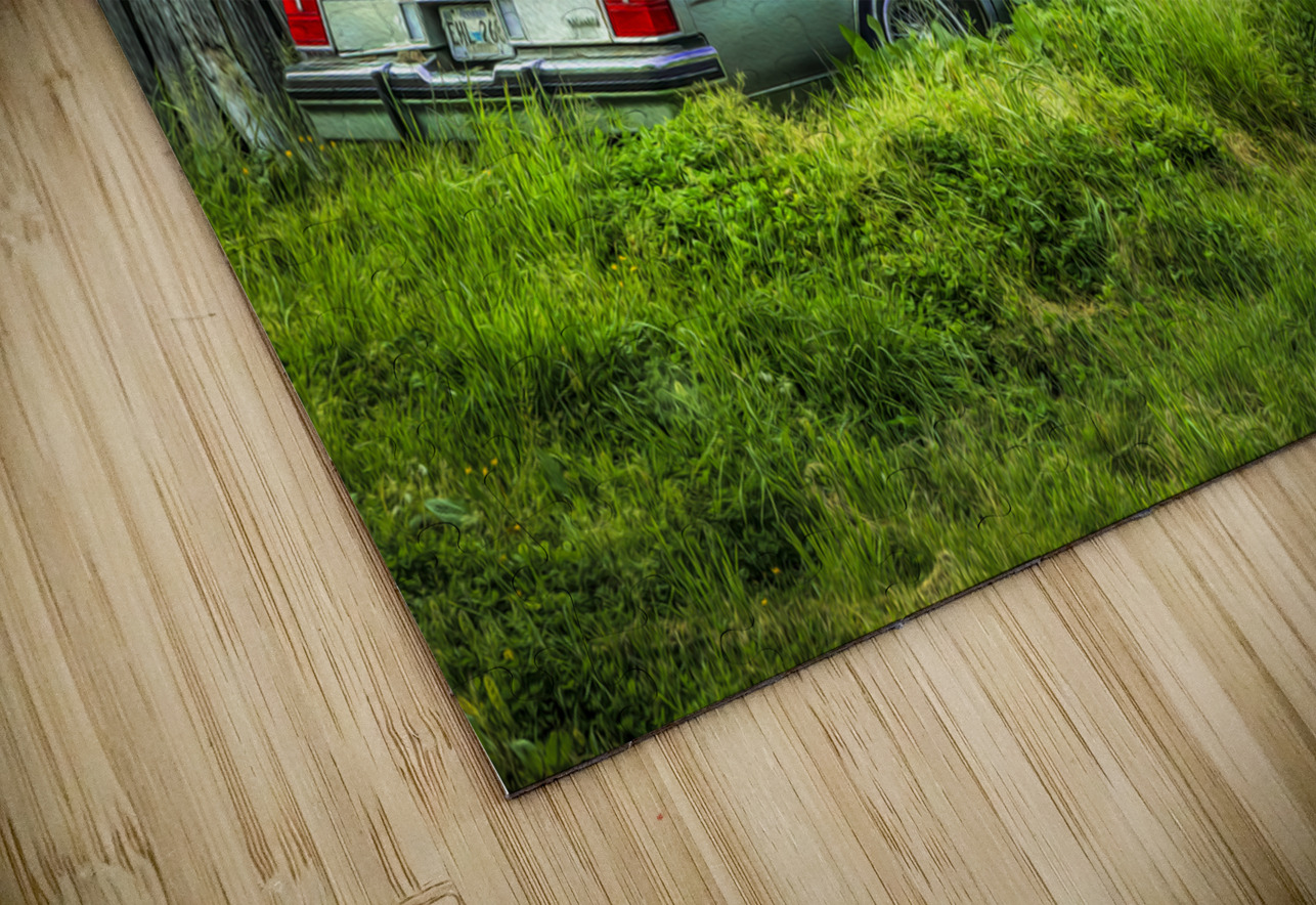 Abandoned in Tennessee Farm Country Shelia Hunt Photography Puzzle