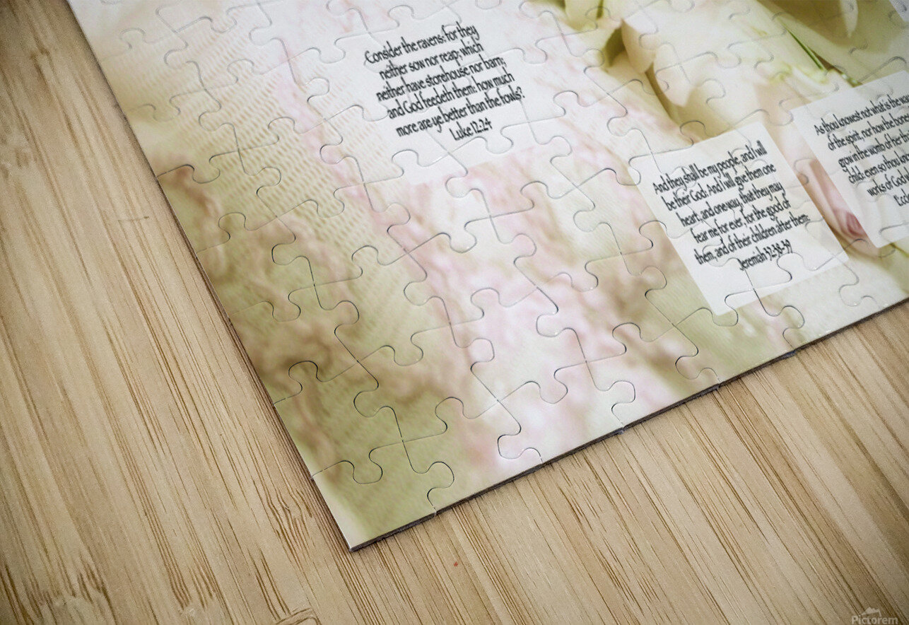 MNW9-WHITE ROSES MY NEHEMIAH WALL Puzzle