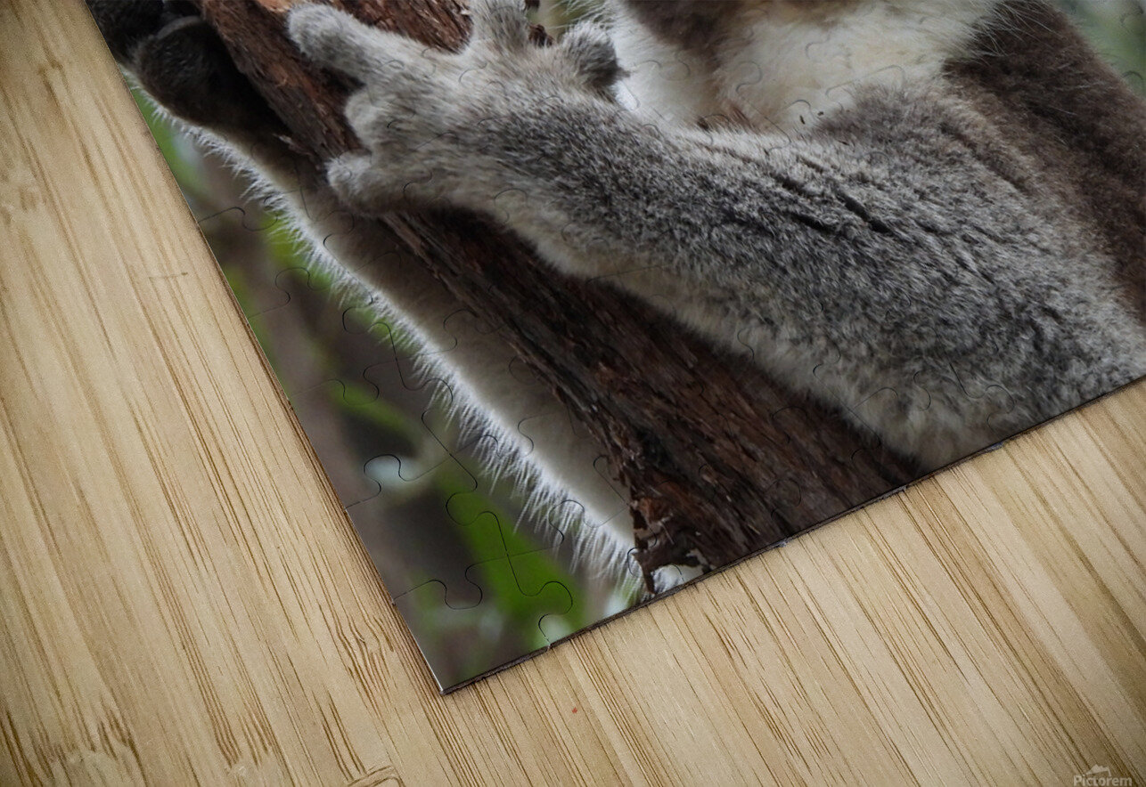 Koala in Tree Wild at Heart Photography Puzzle