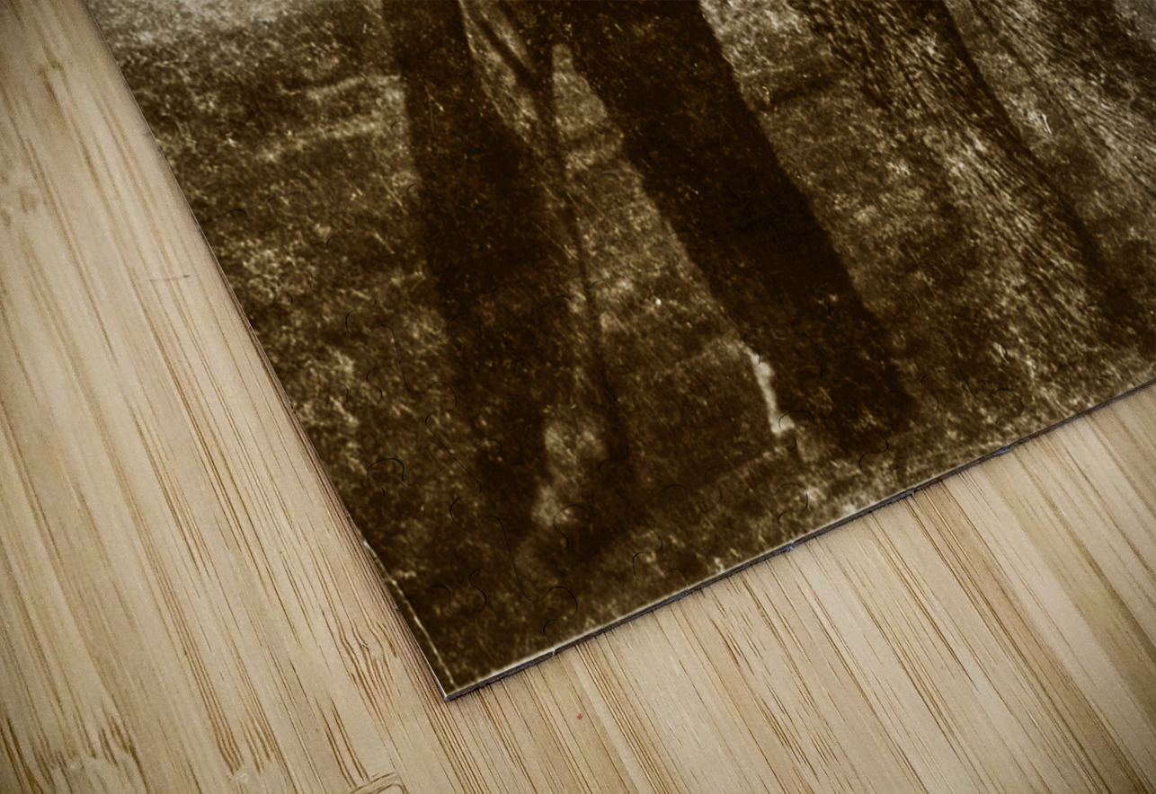 Vintage Ktunaxa Cowbows Troy Hunter Puzzle