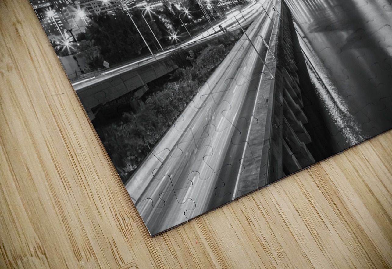 Dynamic Philadelphia | Monochrome Melanie Viola Puzzle