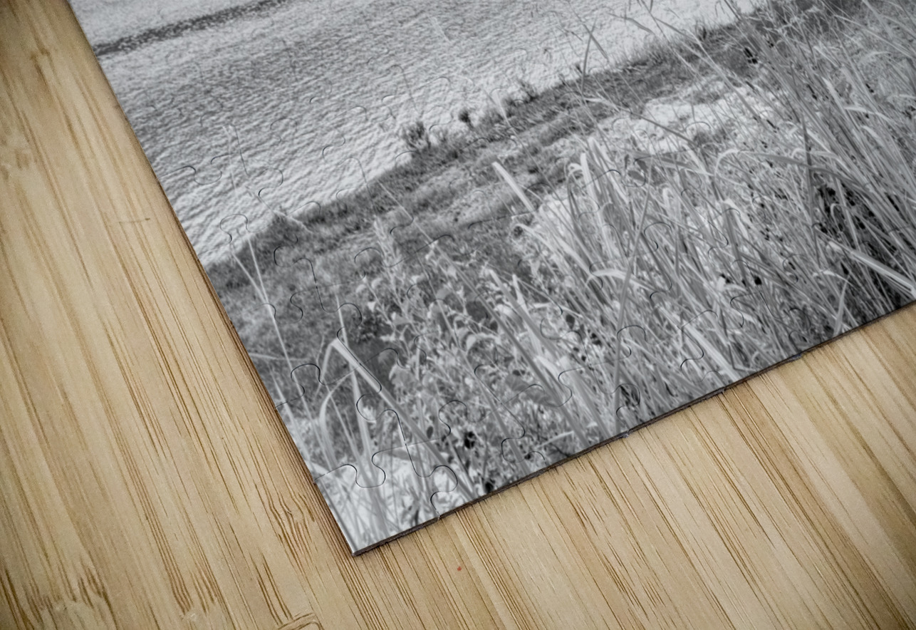 Hawk Over Little Golden Gate Grayscale Jennifer White Puzzle