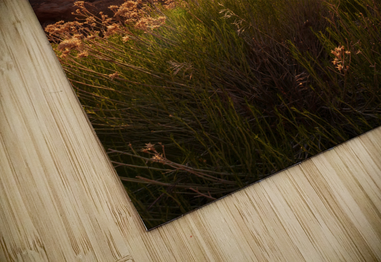 Yellow Flowers Monument Valley Sunrise Jennifer White Puzzle