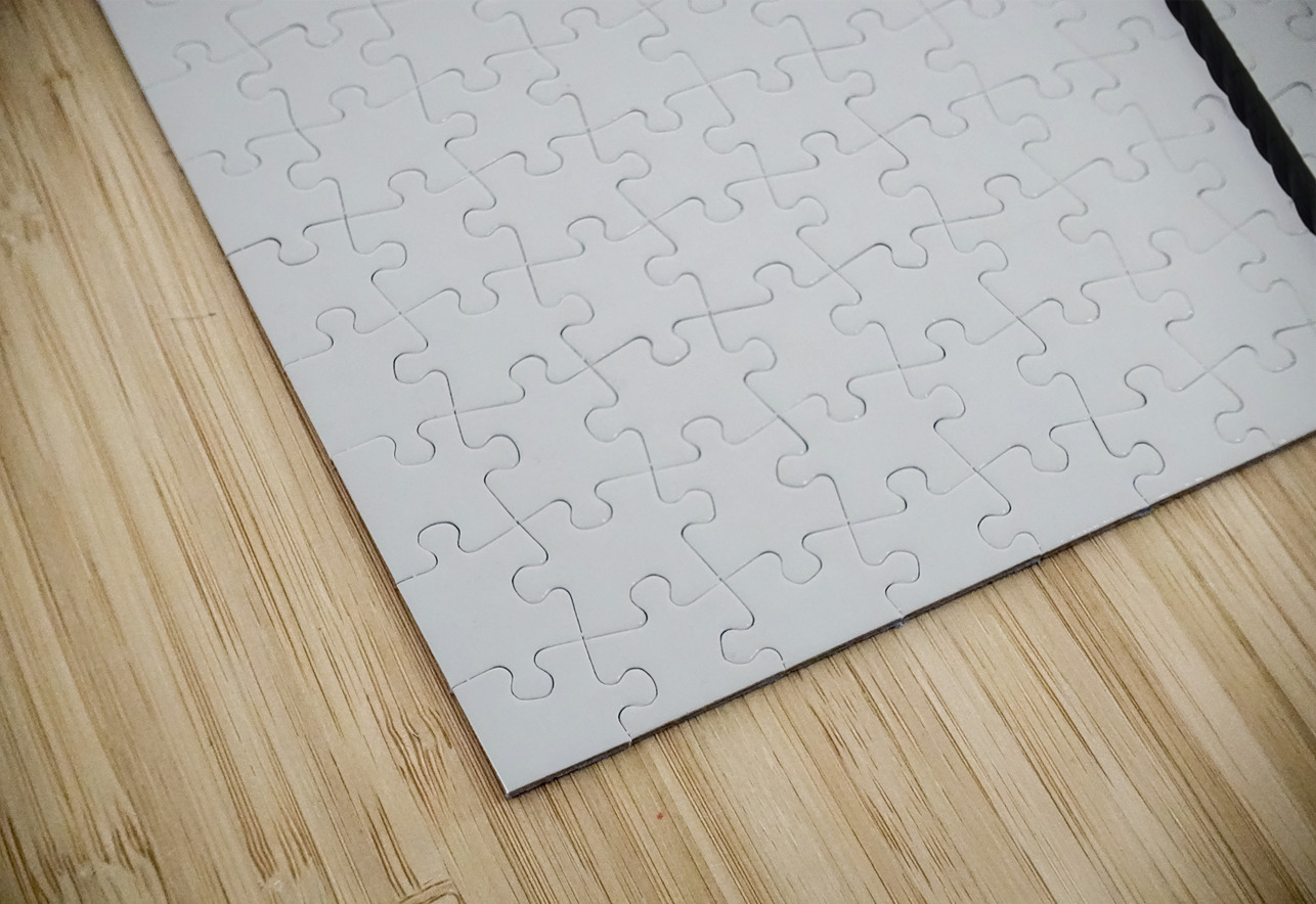 Ecuador 9 0830 Robert Burnett Puzzle