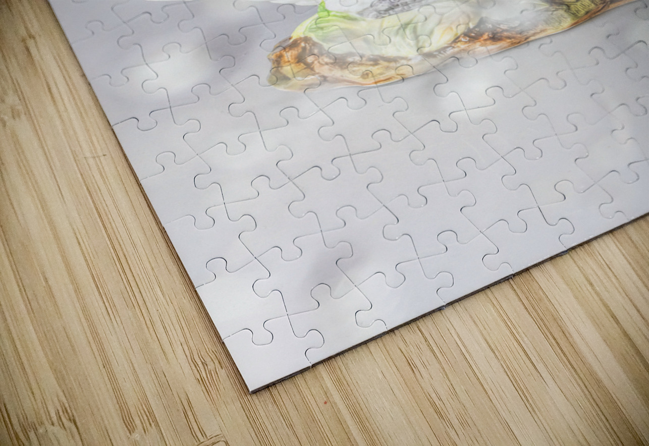 White swan Jorgo Puzzle