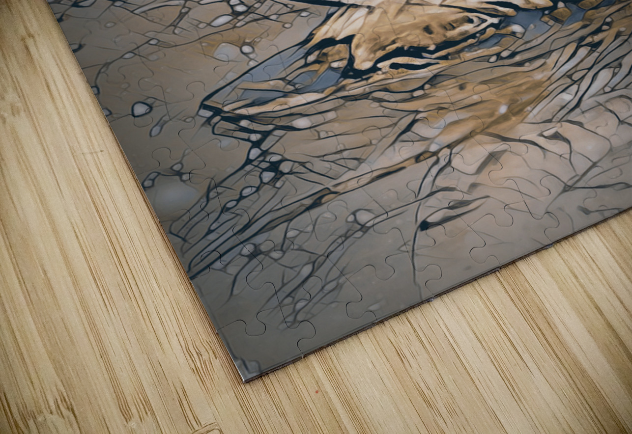 Reflective synopsis  Jorgo Puzzle