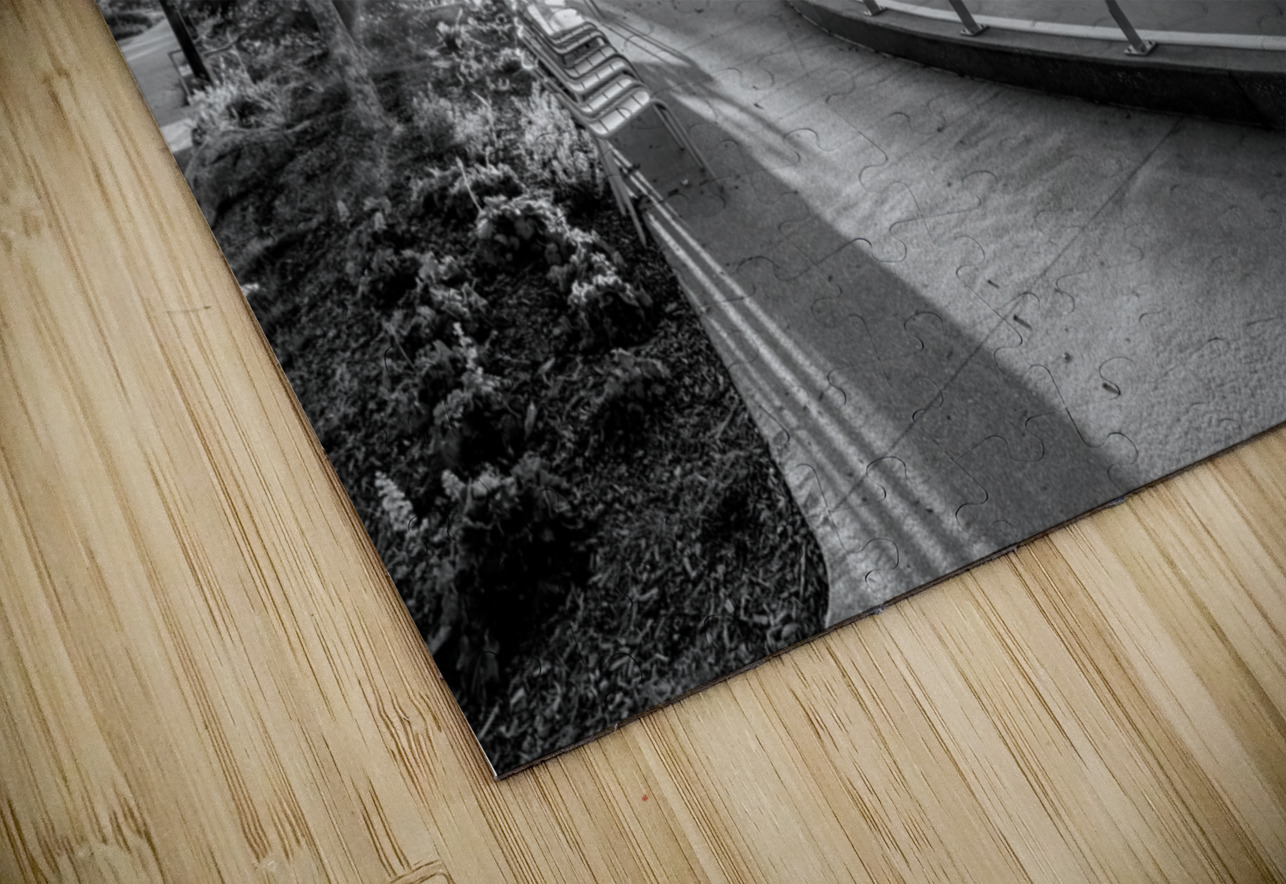 Omaha Skate Park Golden Sun Star Grayscale Jennifer White Puzzle