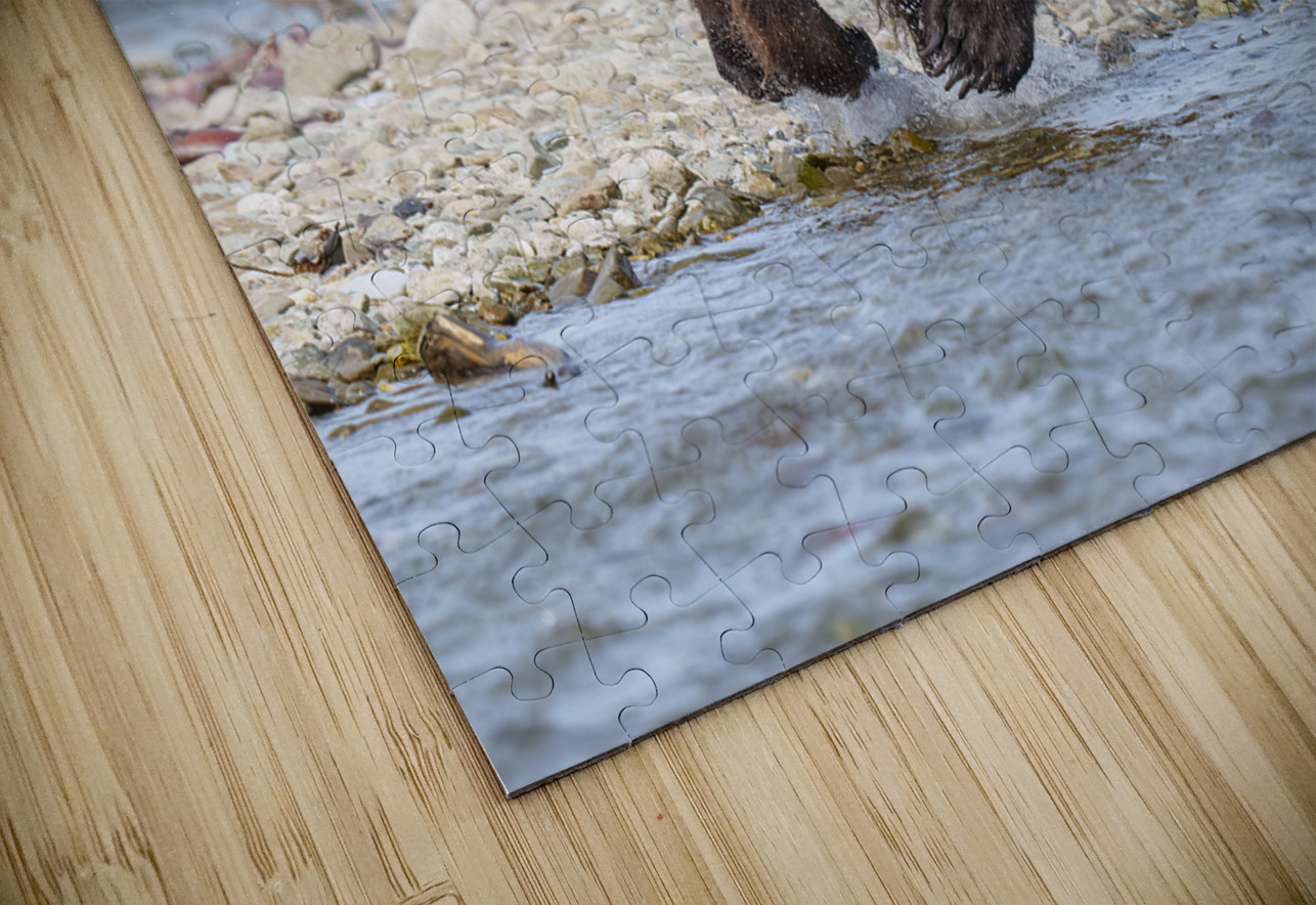 Coastal Brown Bear 7493 Ken Anderson Photography Puzzle