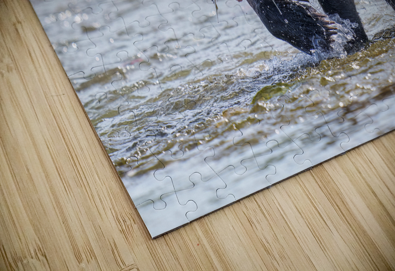 Coastal Brown Bear 5755 Ken Anderson Photography Puzzle