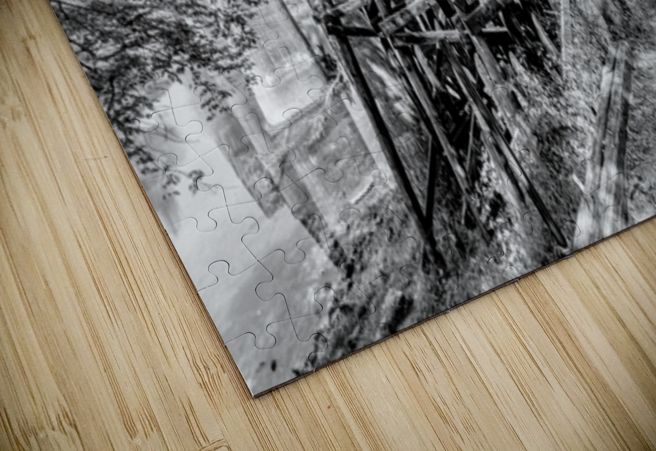 Path Under Old Railroad Bridge Grayscale Jennifer White Puzzle