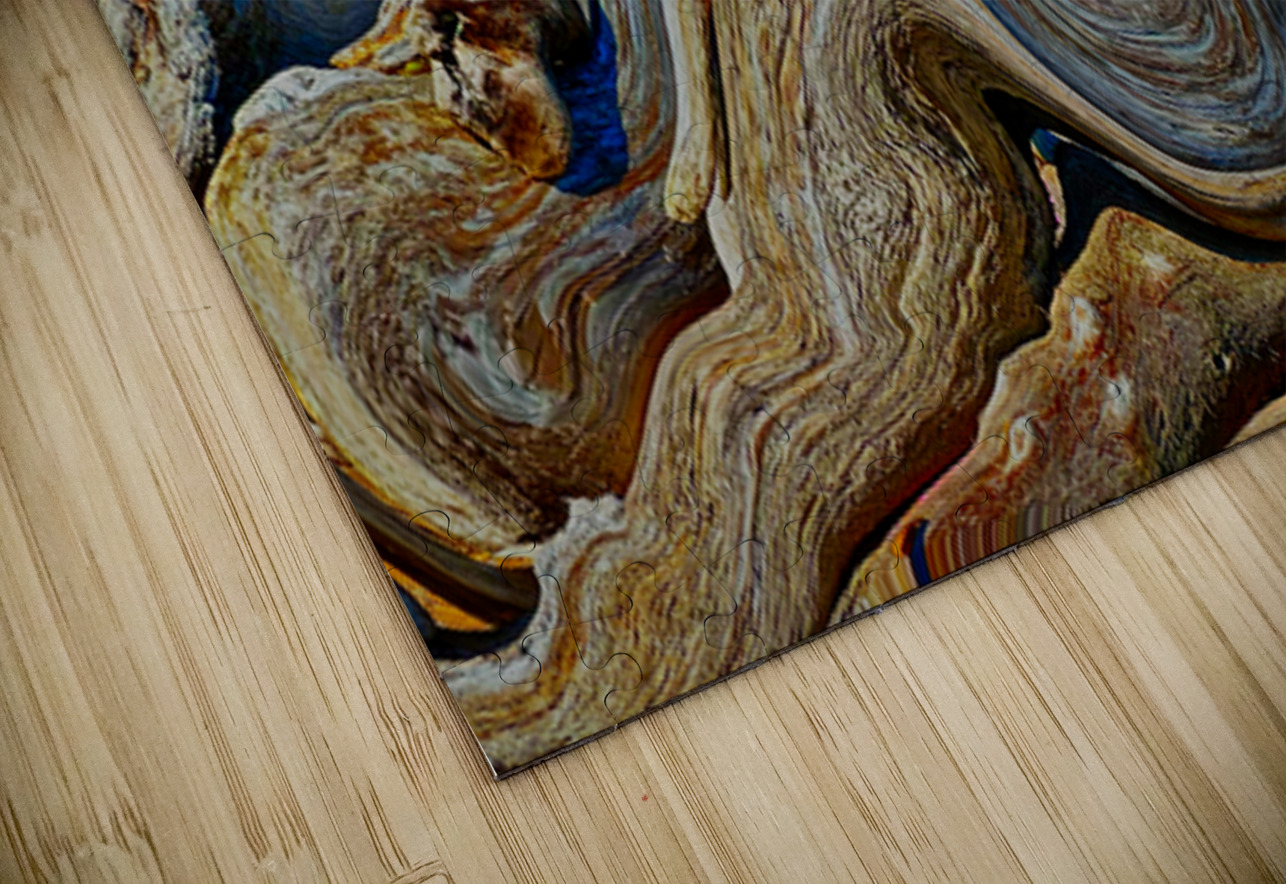 Drifted and Twisted Tracy Currie ~ Digital Photo Artist Puzzle