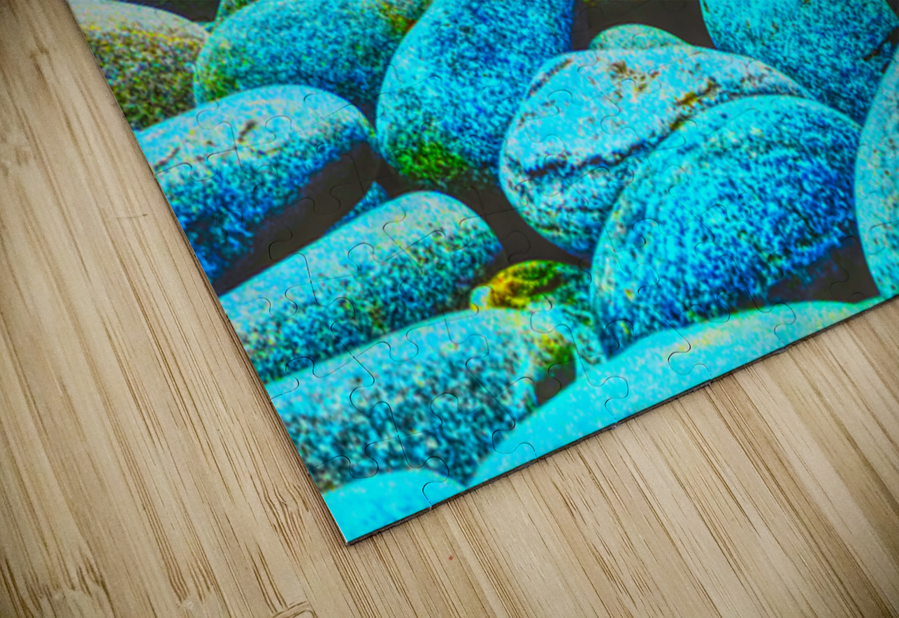 Viking Shore Tracy Currie ~ Digital Photo Artist Puzzle