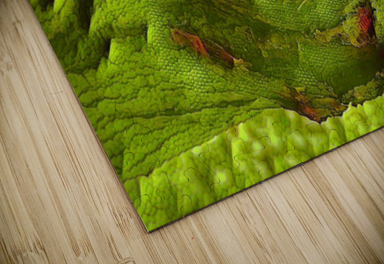 Dragon Eye Tracy Currie ~ Digital Photo Artist Puzzle