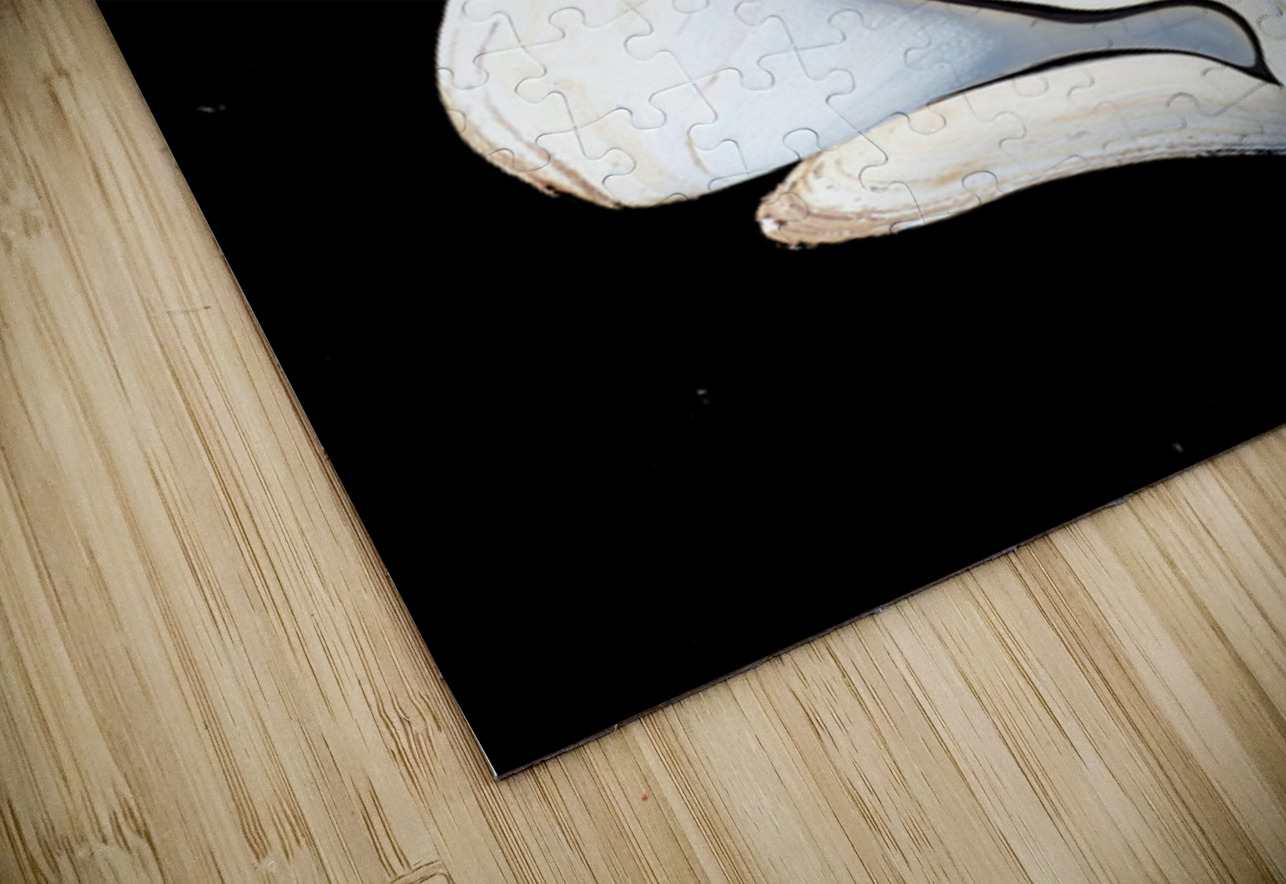 The Dancers Tracy Currie ~ Digital Photo Artist Puzzle