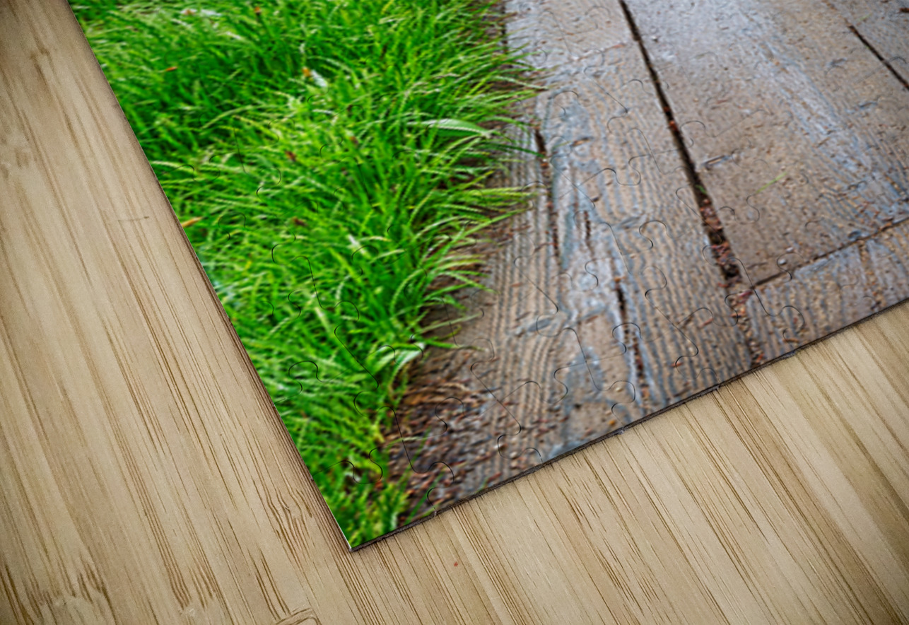 Wooden Forest Path Bo Insogna Puzzle