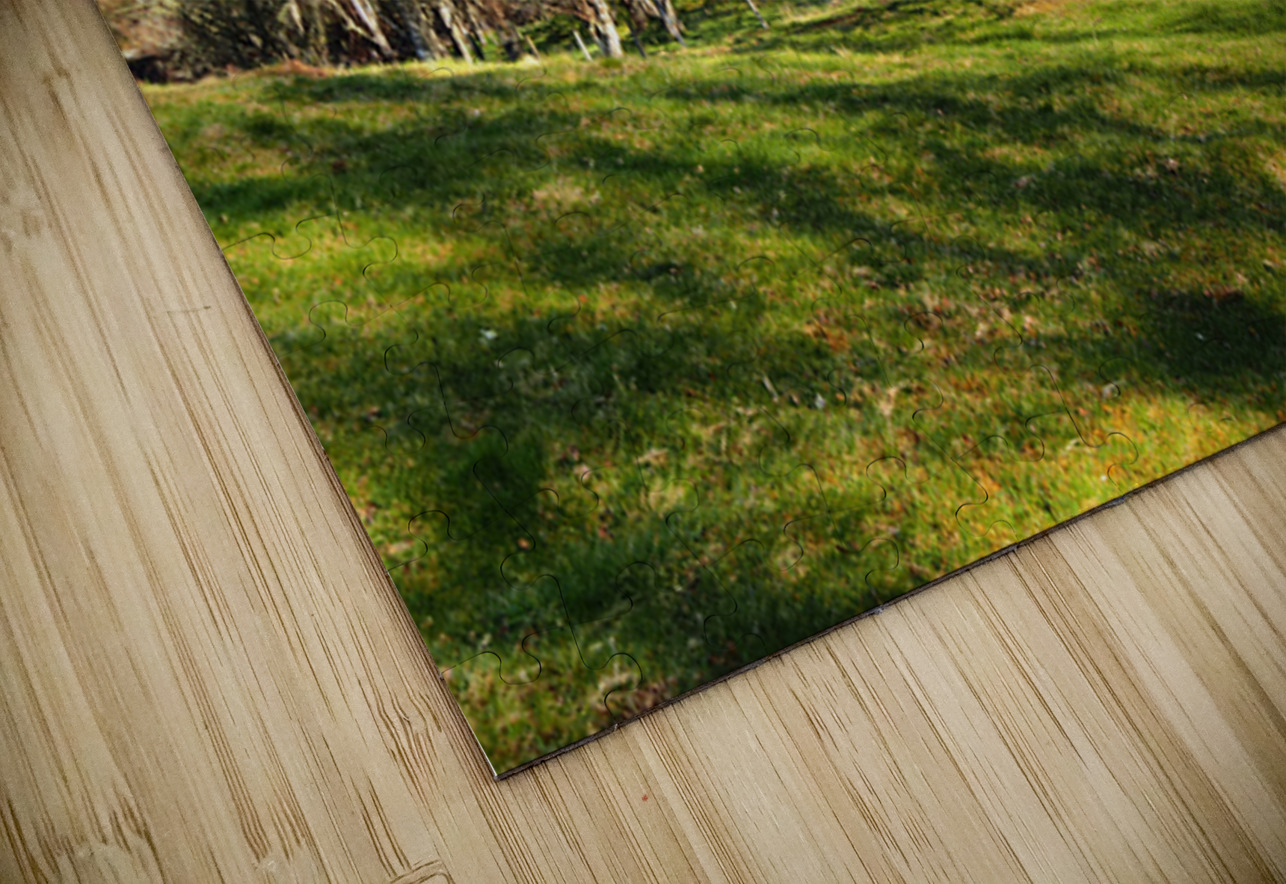 Spring Serenity in the Scottish Highlands                                                                                                                      Catriona Roberts Nature Photography and Designs Puzzle