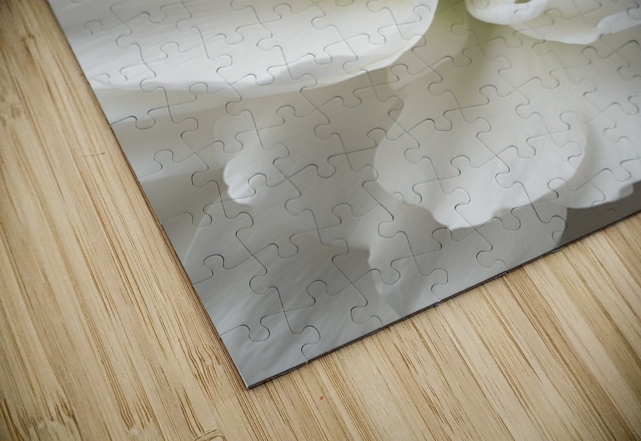 Twisted Florals  1 of 3 The Mabazza Foundation  Puzzle