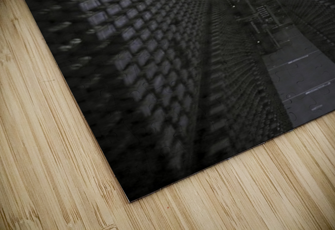 Constitution DeepEarth Photography Puzzle