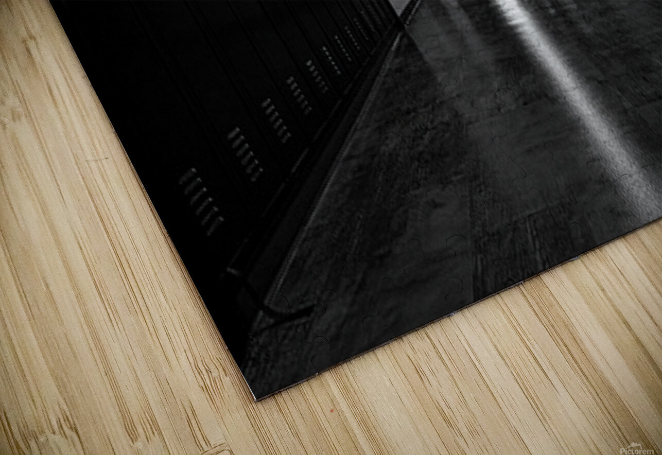 Empty Hallway Bruce Brown Puzzle