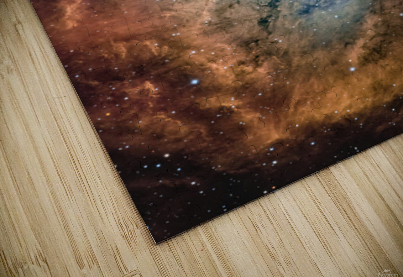 CED 116 Toozastro Puzzle