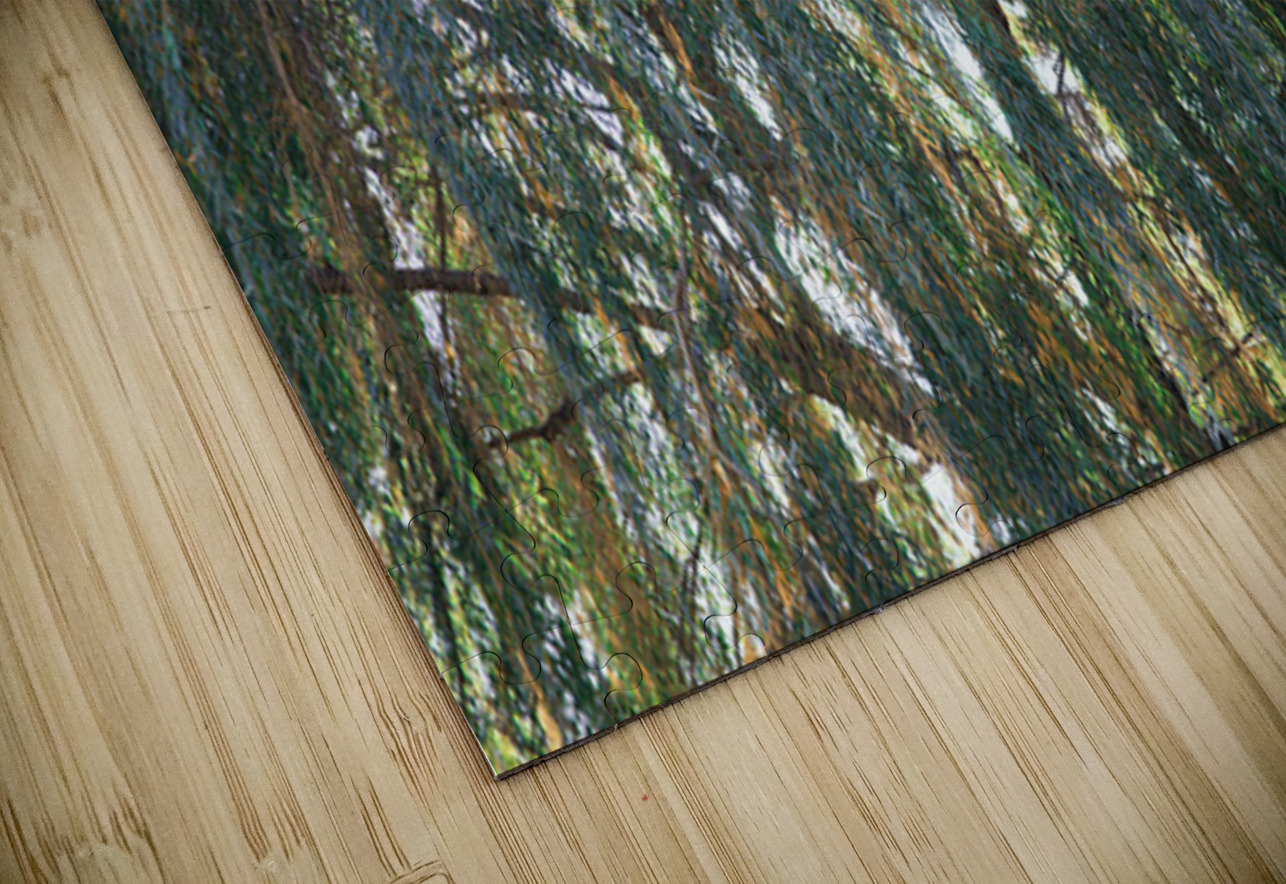 Weeping Willow Near a Stream Thea Menagh Puzzle