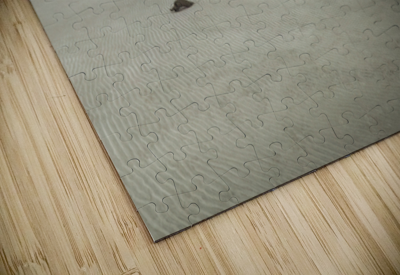 Beach Tree Relics Norma Brandsberg Photography Puzzle