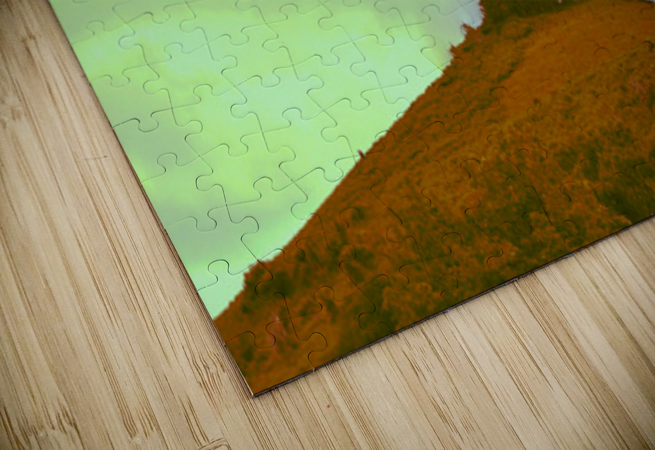 jpt 555ghh James Cooke Puzzle