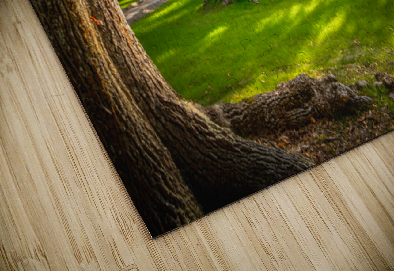 South Carolina Beaufort Live Oak Allee Norma Brandsberg Photography Puzzle