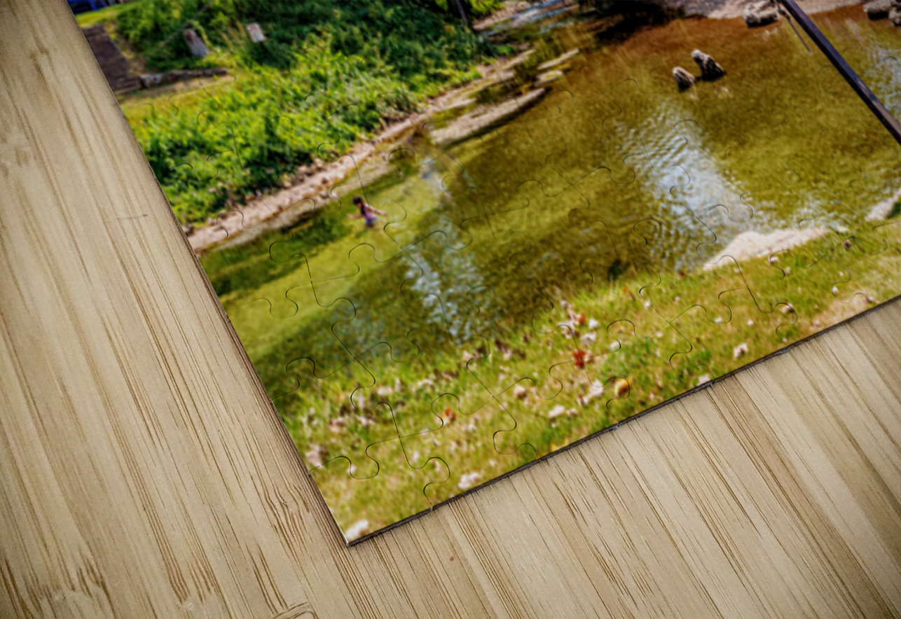 Rope Swing Big Spring Arkansas Jennifer White Puzzle