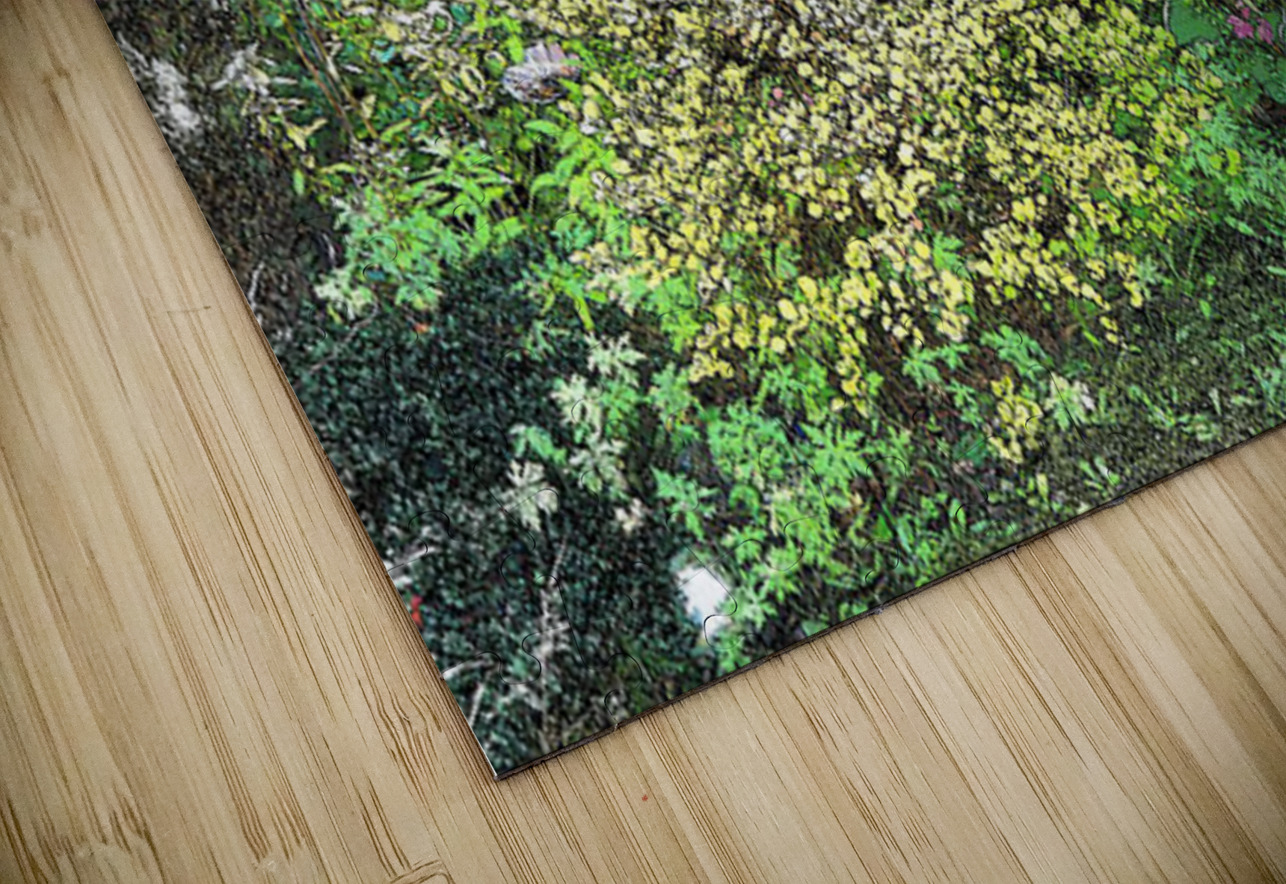 In The Garden                                                                                                                      Catriona Roberts Nature Photography and Designs Puzzle