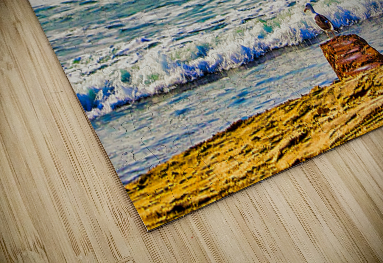 SEABIRD ON ROCK  Charles Herchert Puzzle