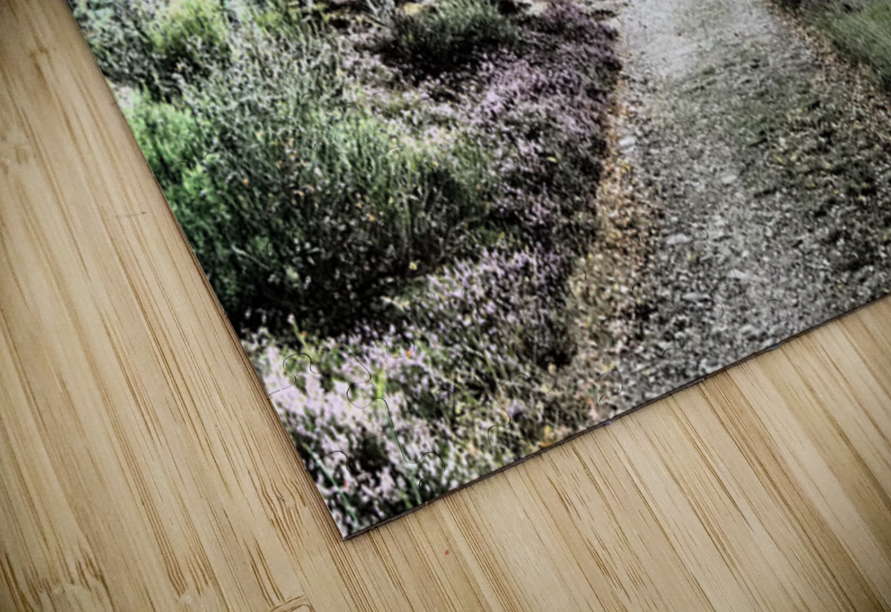 Scottish Highlands Serene  Birch Woodland Trail                                                                                                Catriona Roberts Nature Photography and Designs Puzzle