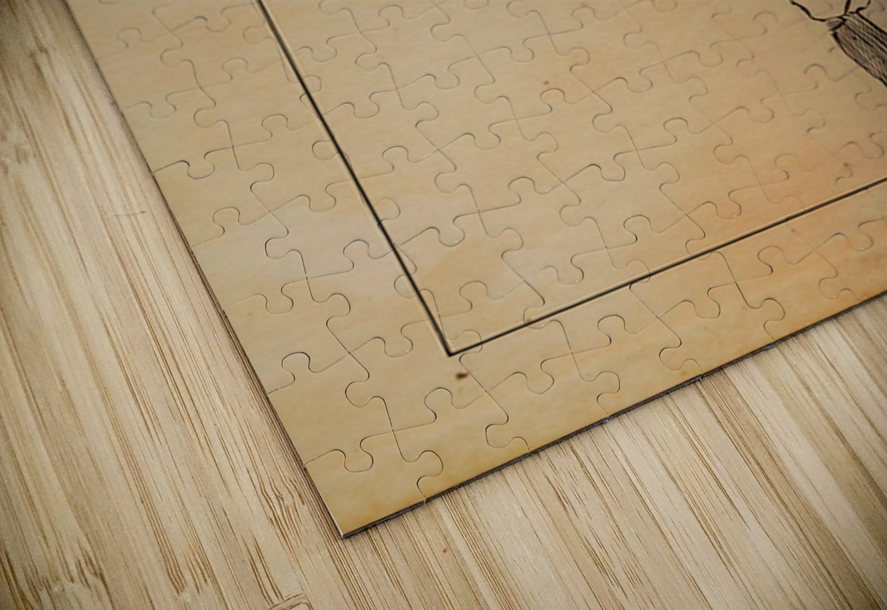 Early 1900s Football Kicker Art Row One Brand Puzzle