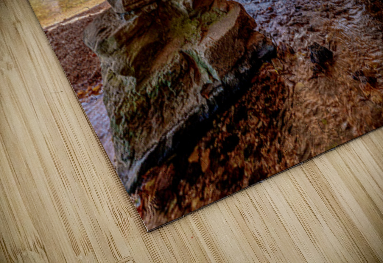 Underneath Rockbridge Mill Jennifer White Puzzle