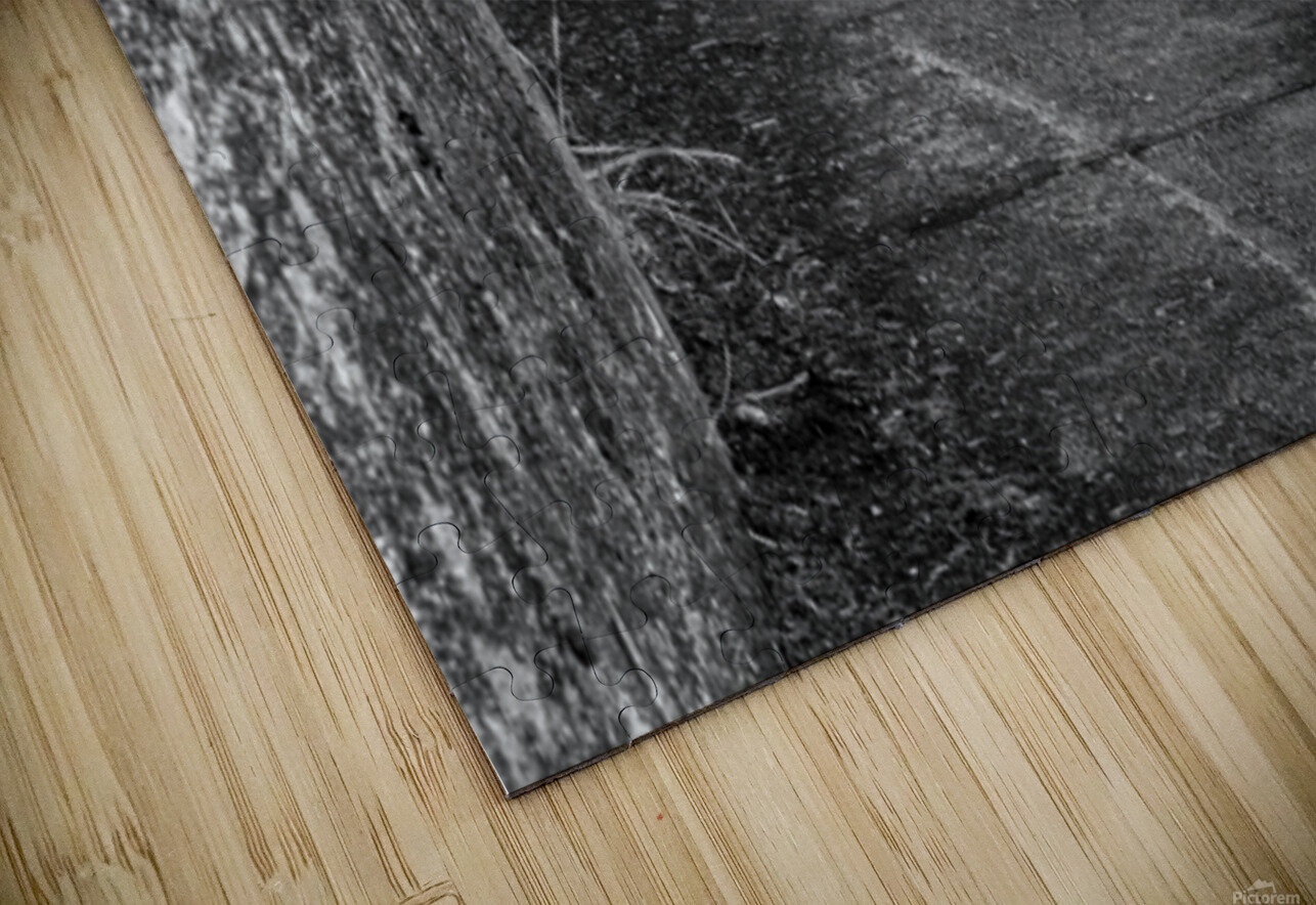 Cape Disappointment Battery 247 steps in B&W Lisa von Biela Puzzle