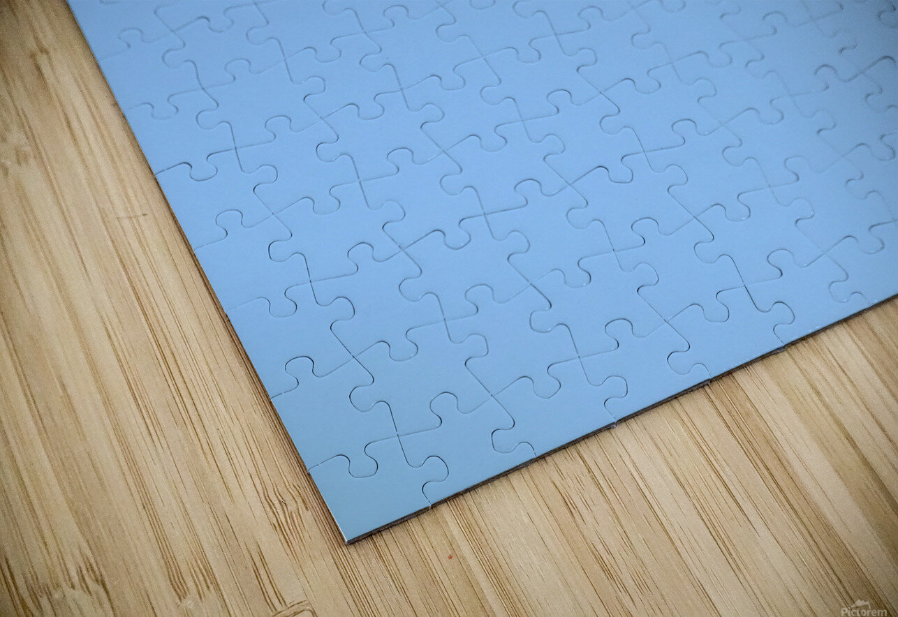 Perched hummingbird waving foot Lisa von Biela Puzzle