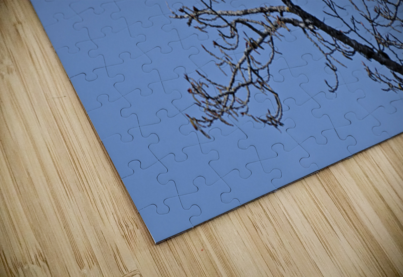 Bald Eagle Pair perfectly aligned Lisa von Biela Puzzle