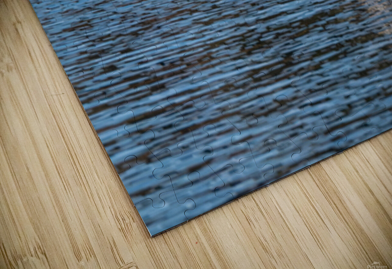 Gulls Dramatic Dive Lisa von Biela Puzzle