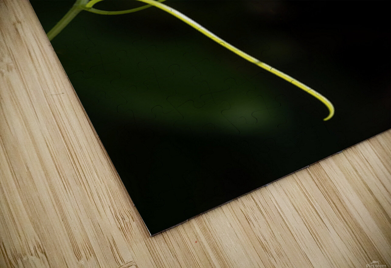 Wild cucumber Blossom close up Lisa von Biela Puzzle