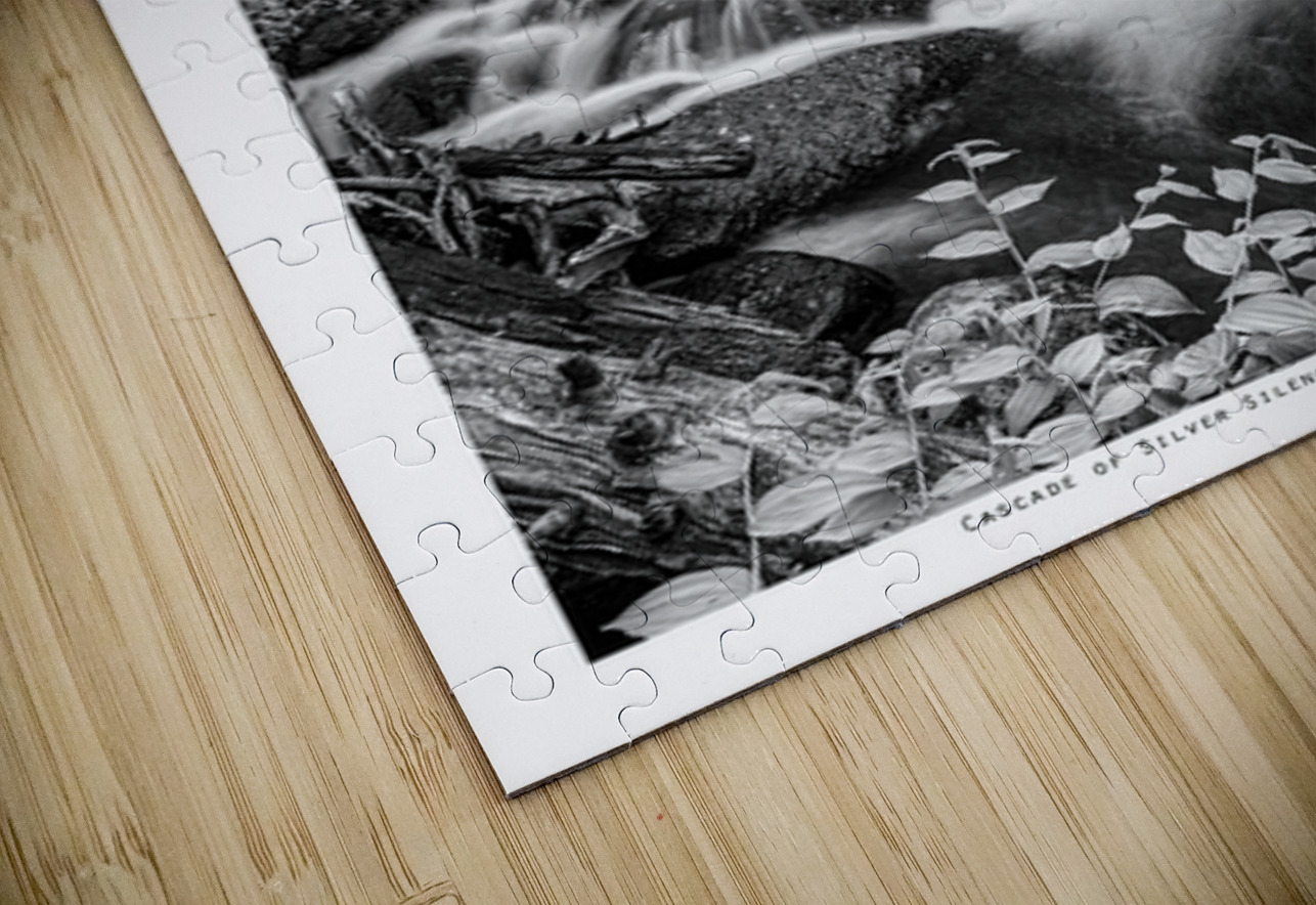 Cascade of Silver Silence Roosevelt Forest Bo Insogna Puzzle