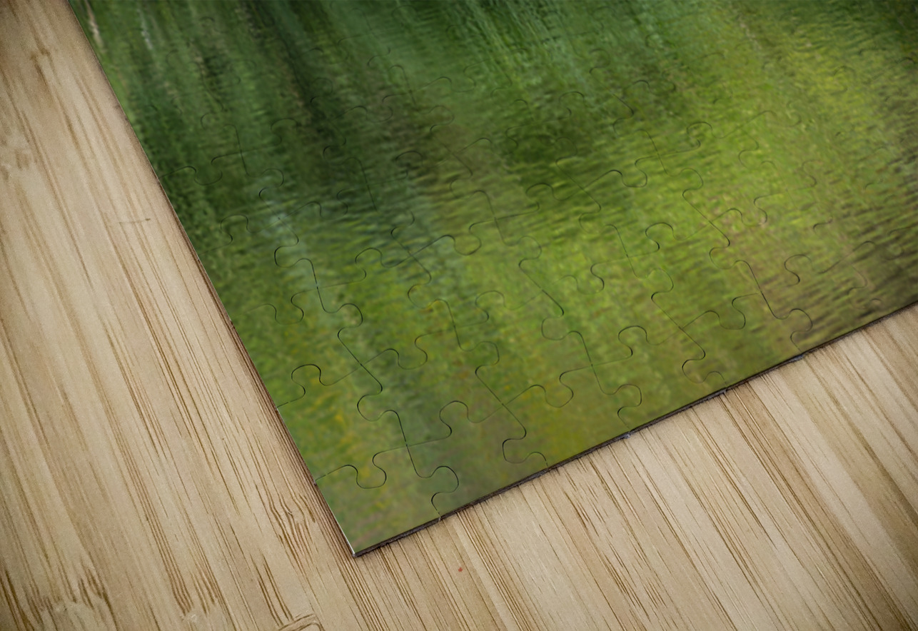 Dramatic green reflections of riverside plants Lisa von Biela Puzzle