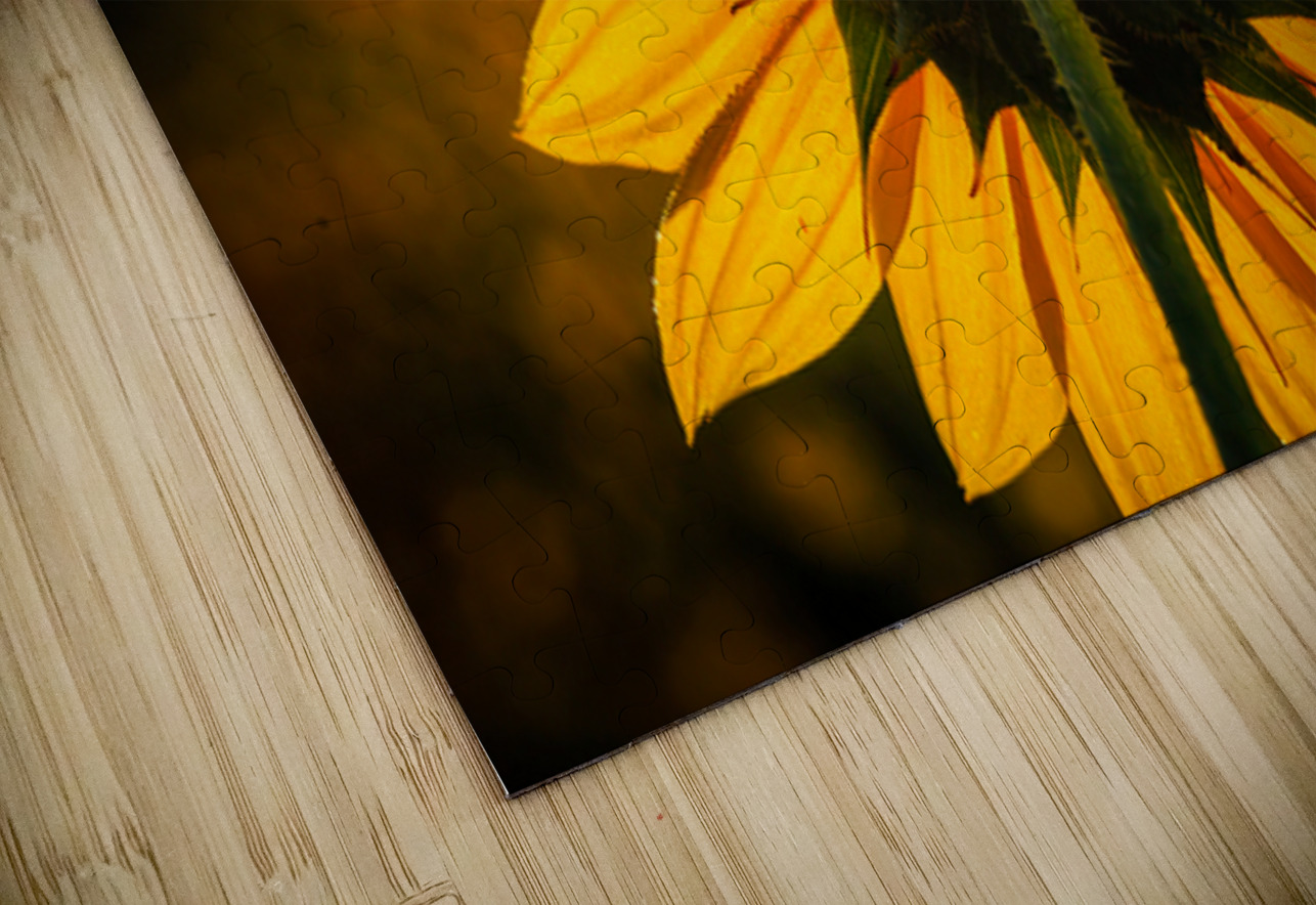 Solar Prairie Wind Imagery Puzzle