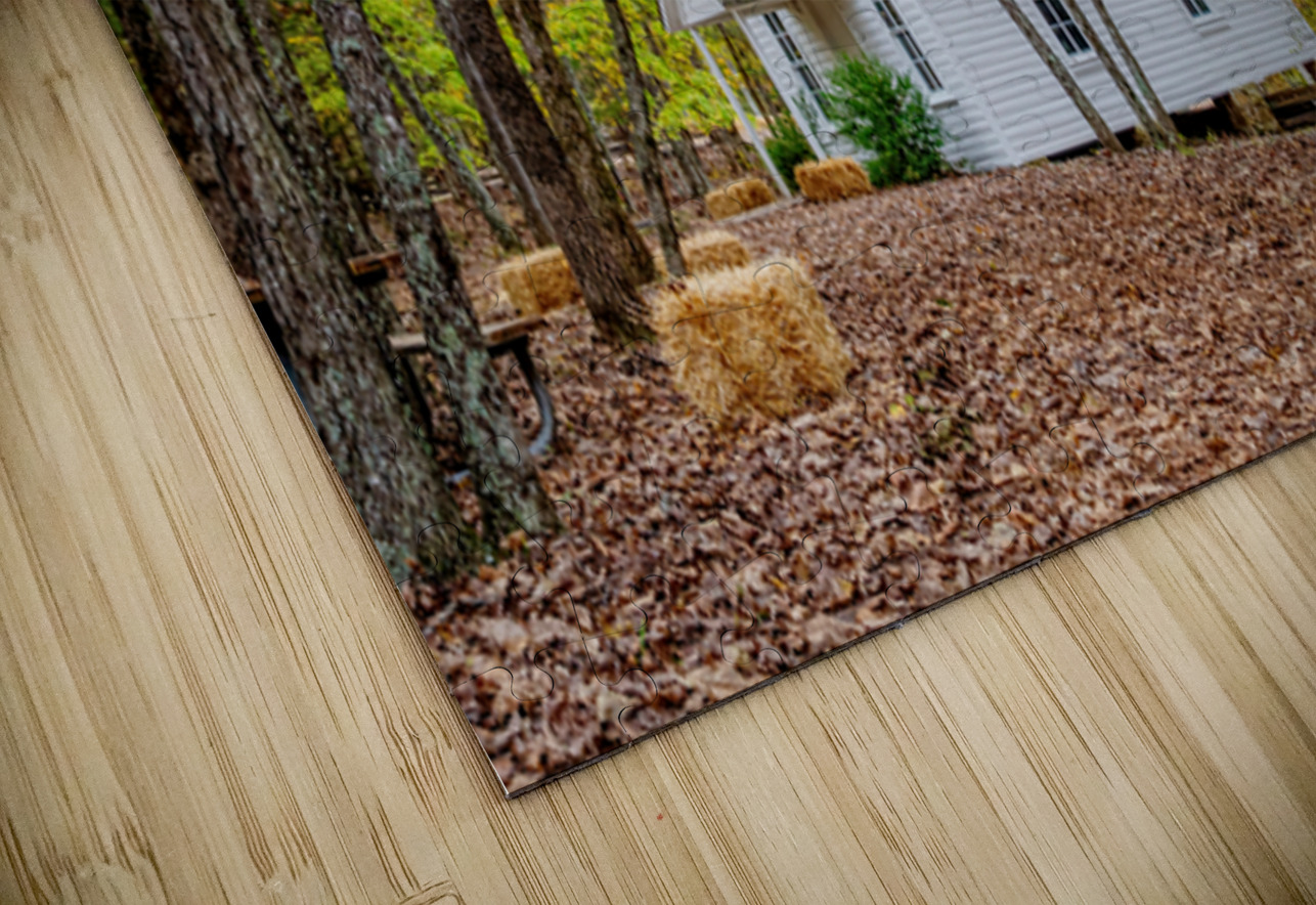 Vintage Concord One Room Schoolhouse Jennifer White Puzzle