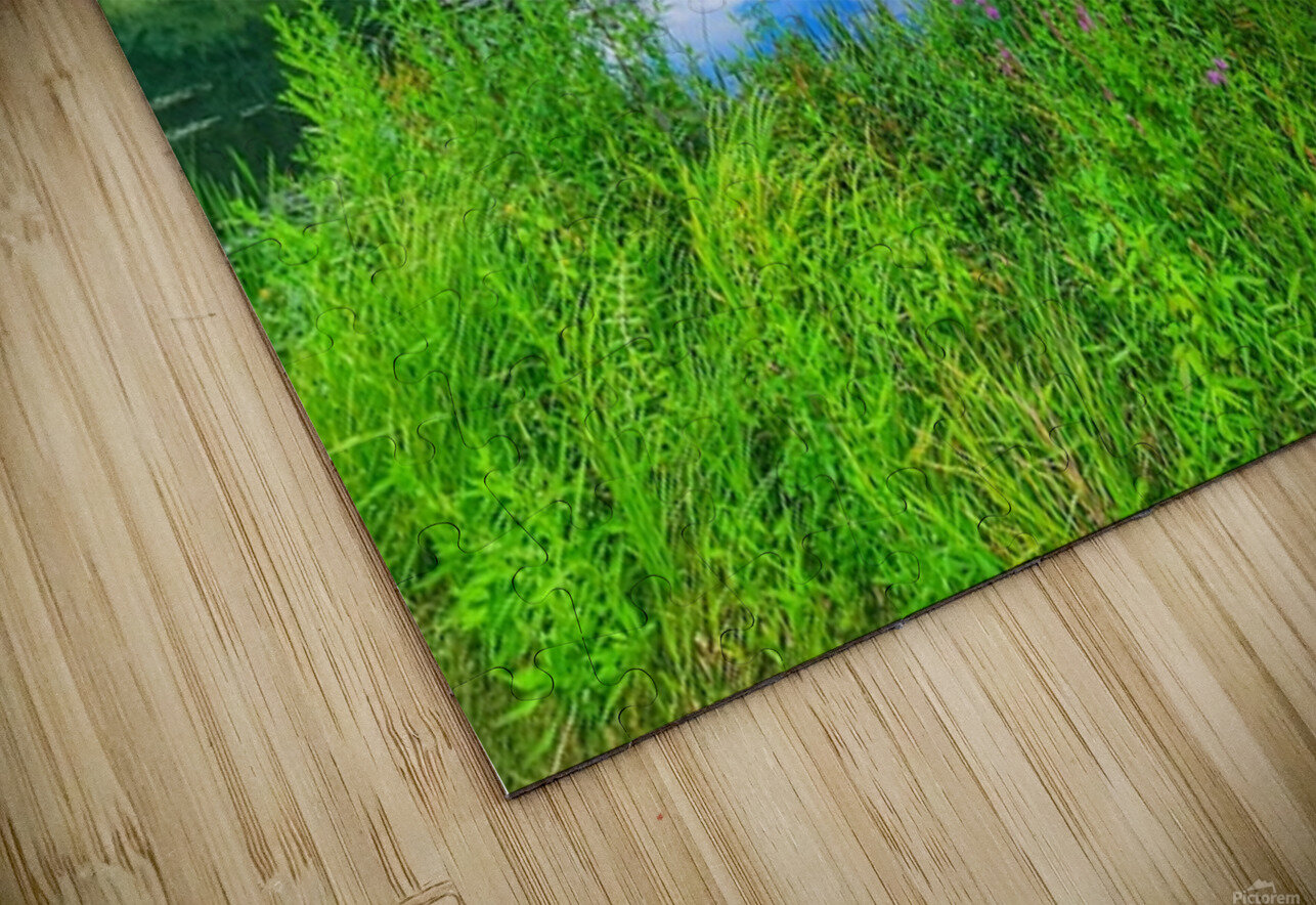 08Aug Eastbury Pond Kevin Savage Puzzle