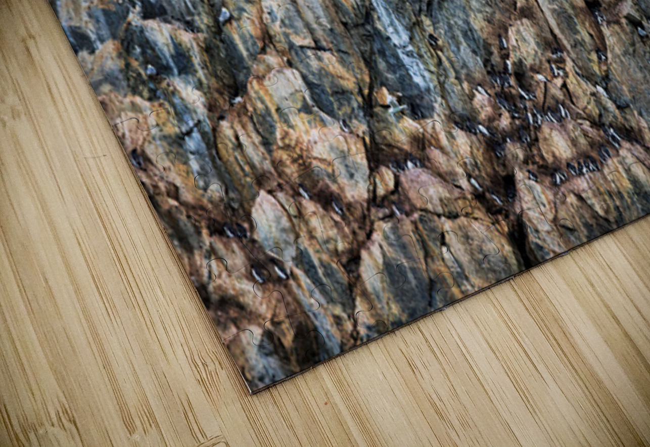 CLIFF COLONIES Doug Sturgess Puzzle