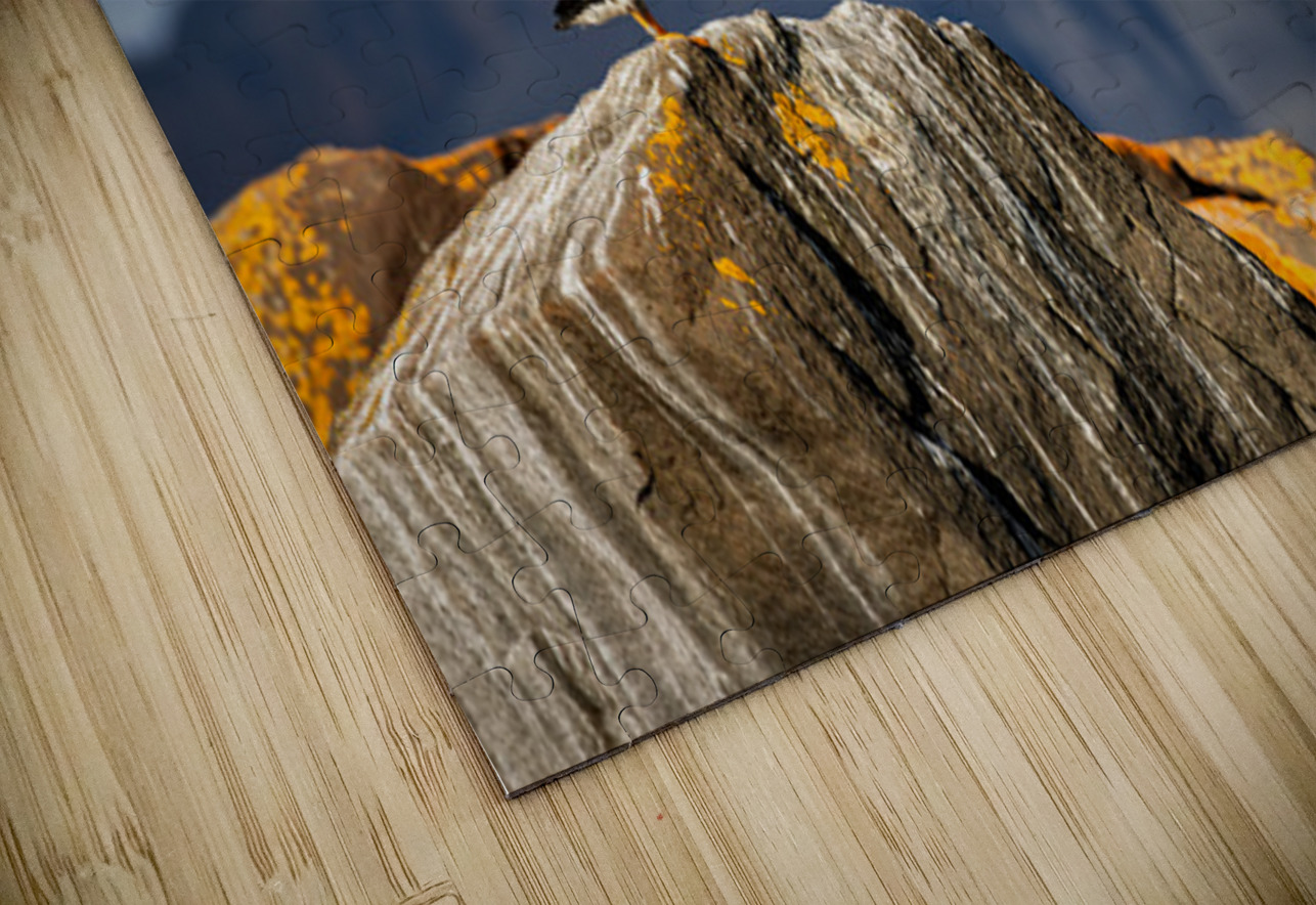 LAND OF THE PUFFIN Doug Sturgess Puzzle